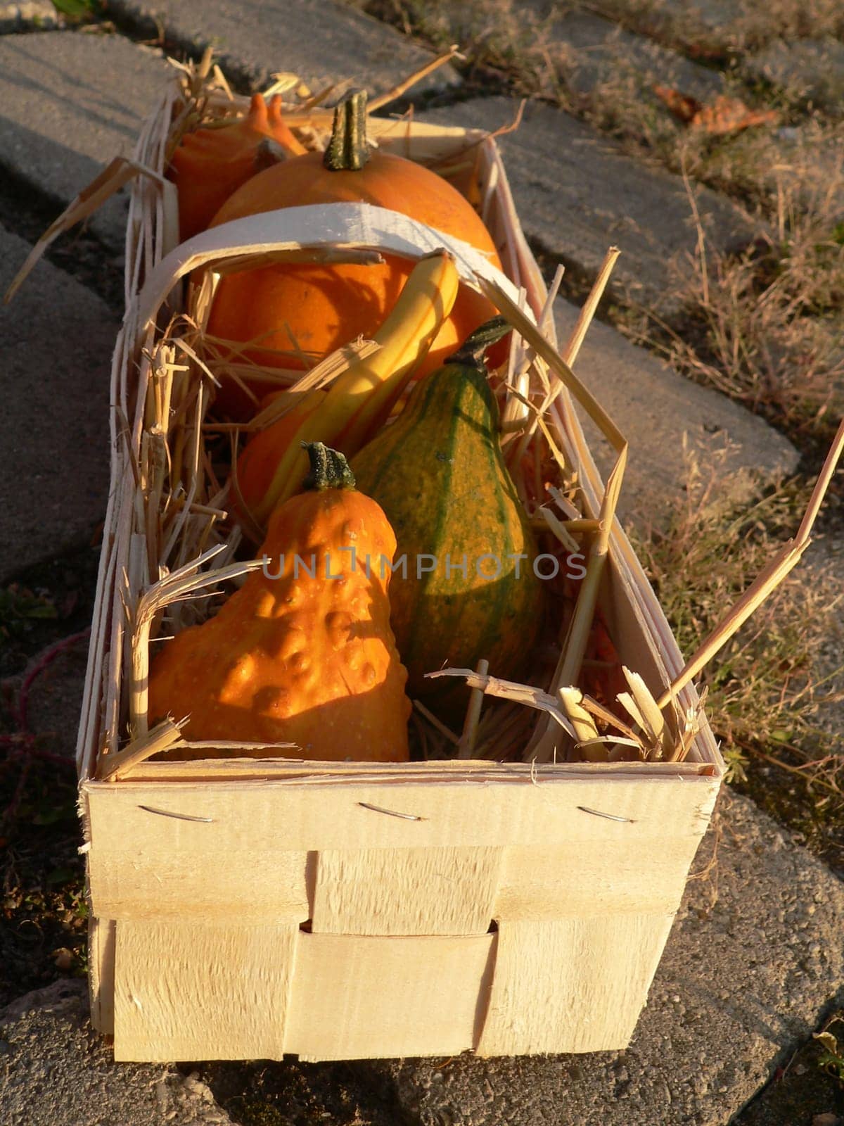 in the basket