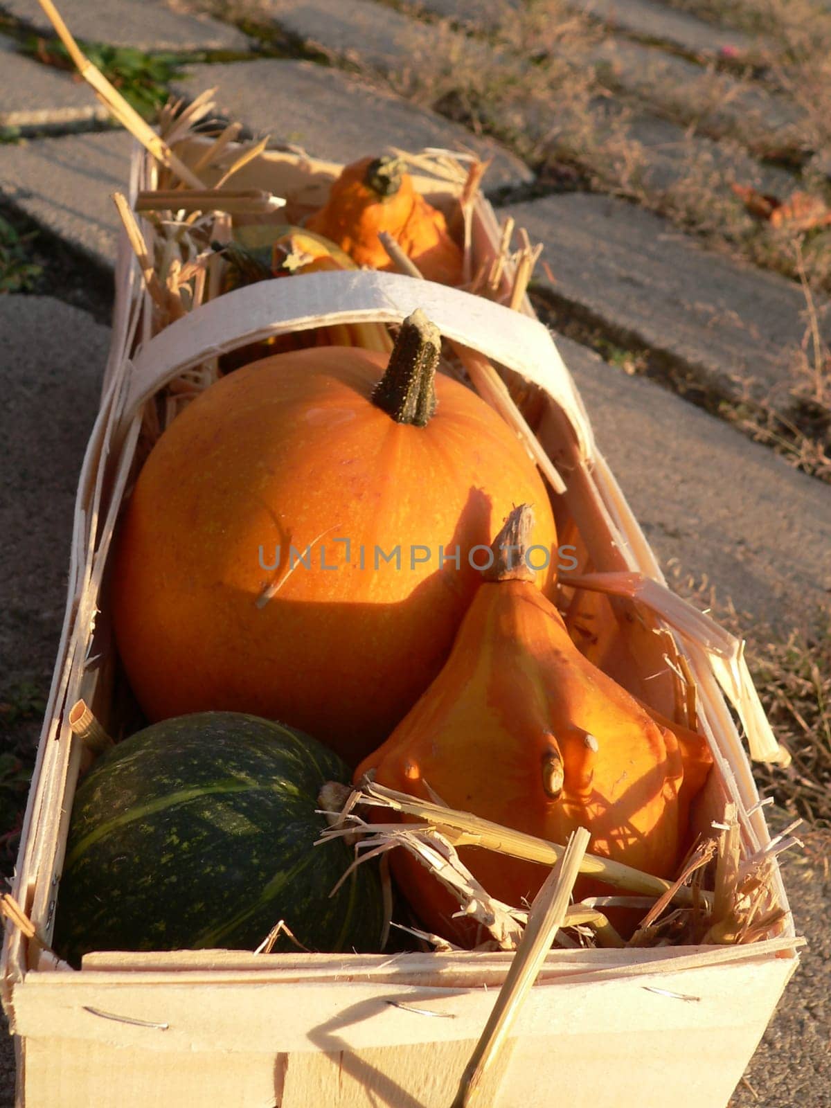Autumn decorations