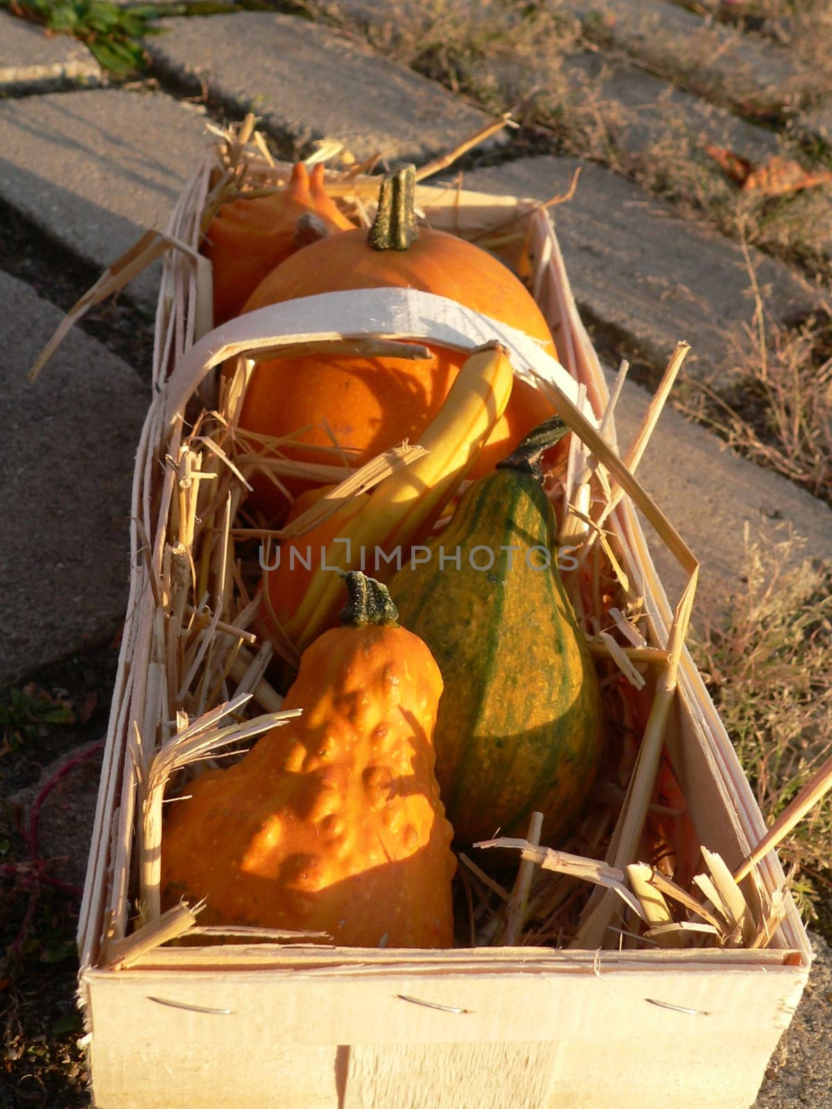 Decorative basket