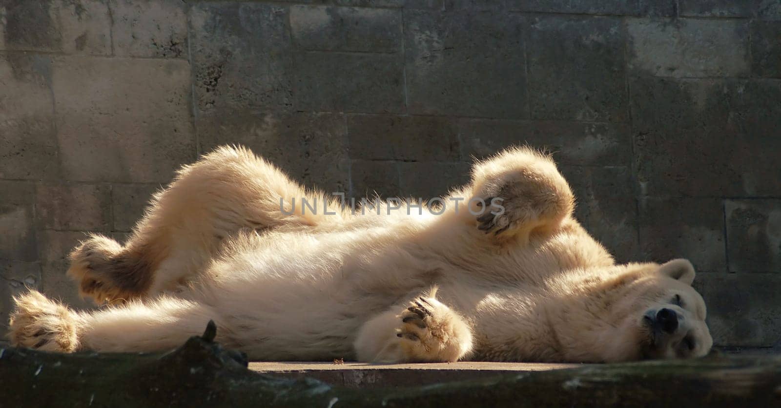 I wish you all a nice weekend! It's time to laze around in the sun again....!