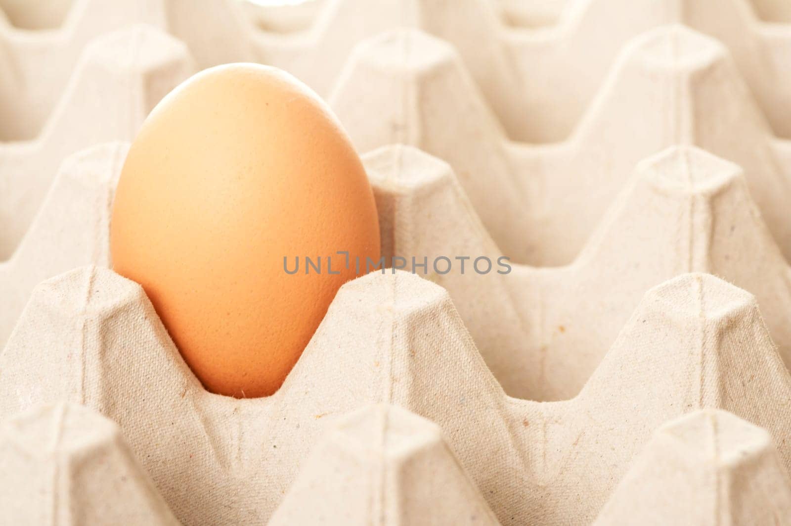 Eier