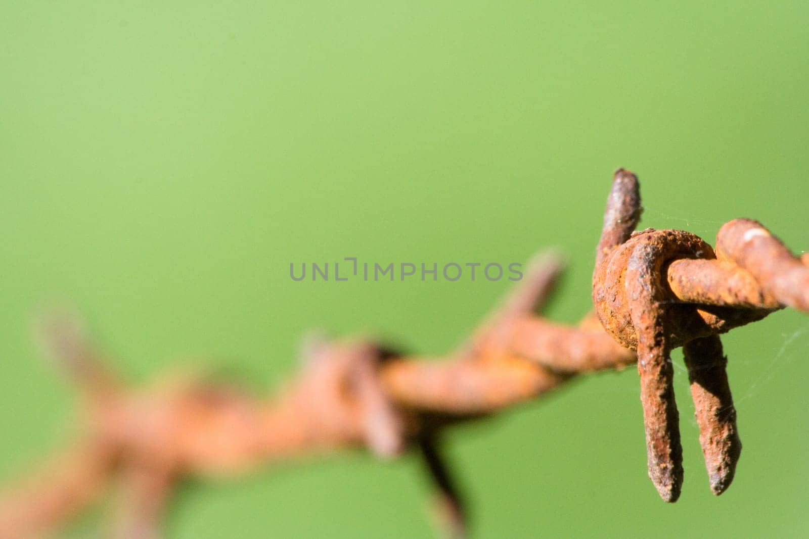 Complementary Crosses II