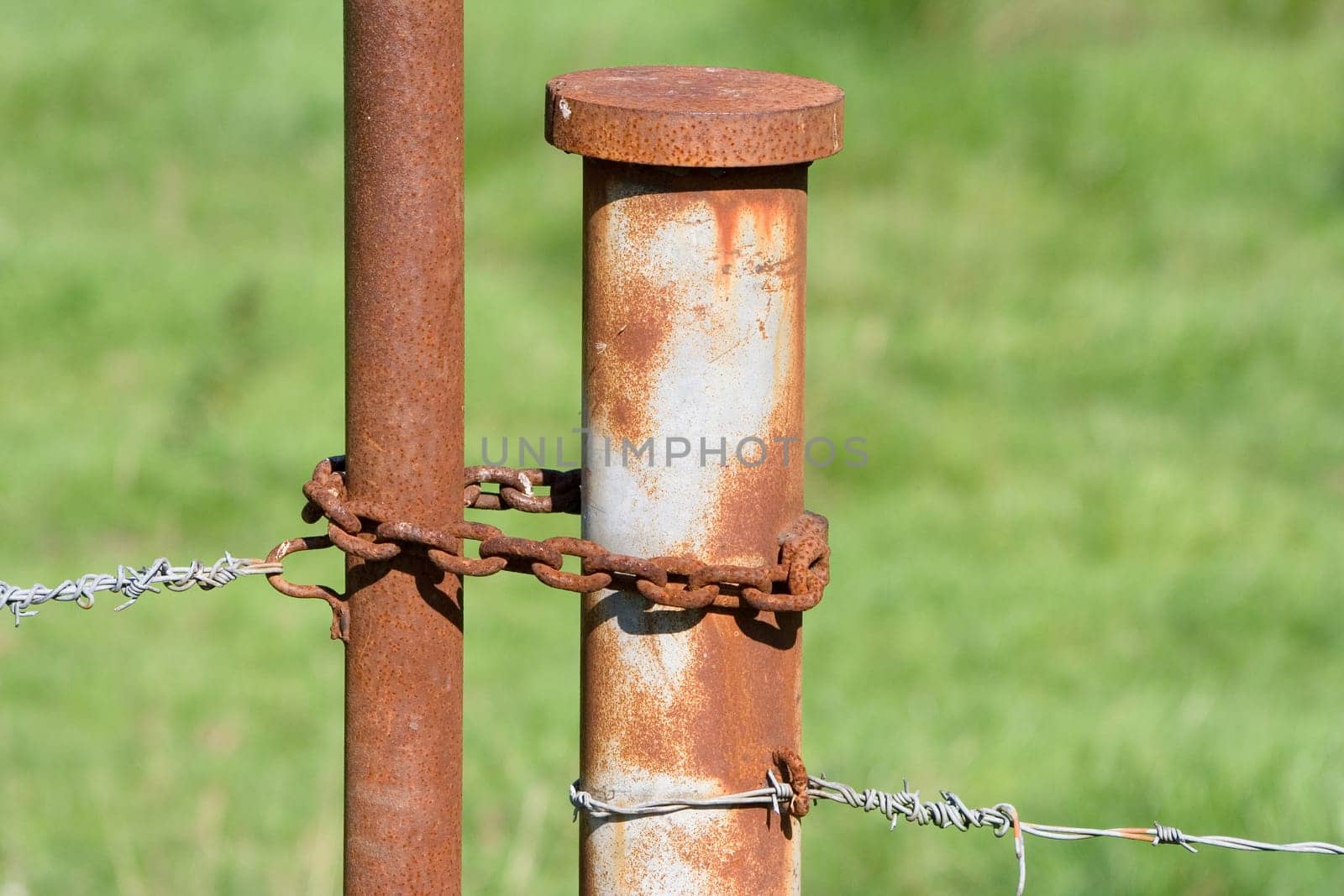 Rust connects