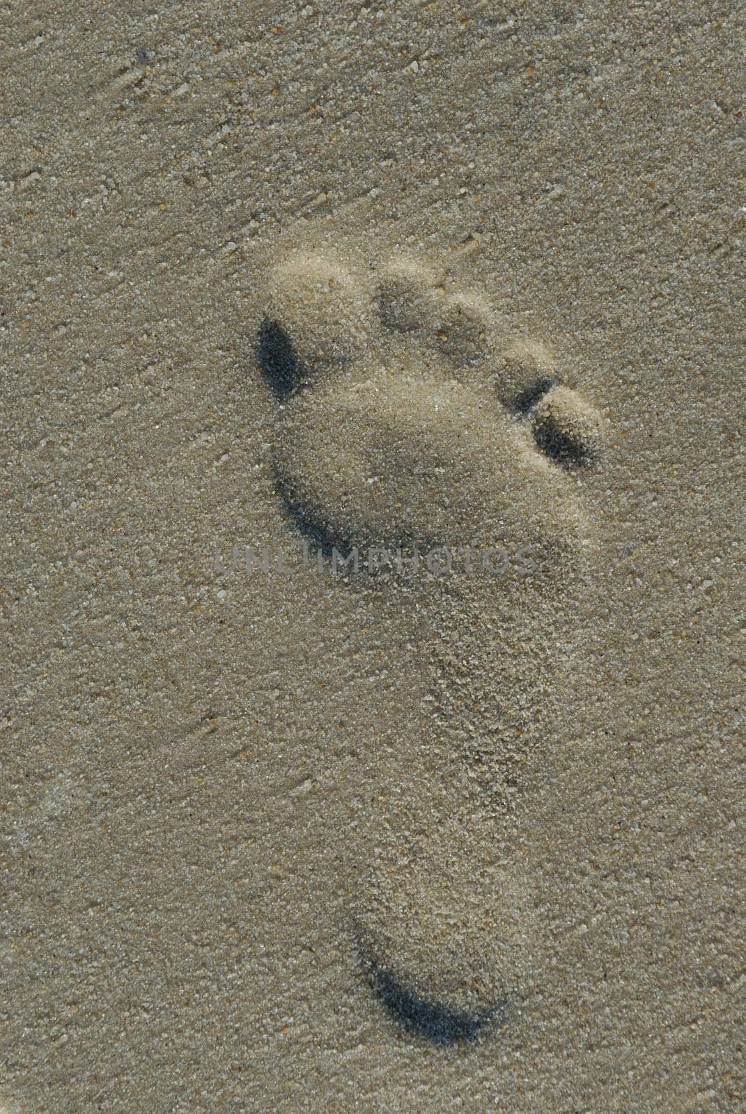 Sylt,September 2006.