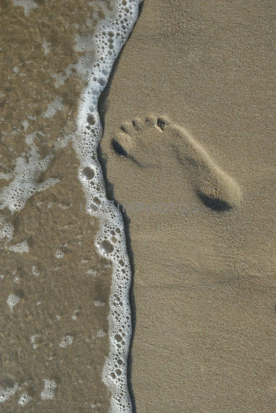 Sylt,September 2006.