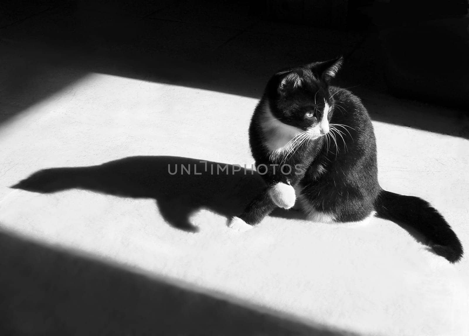 Hangover in the sunshine