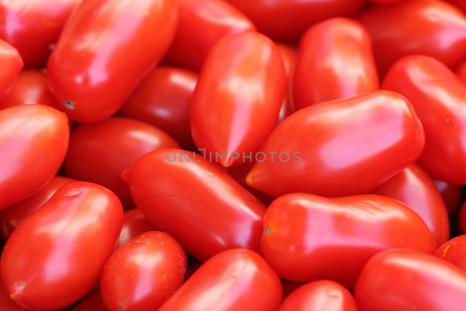 Date tomato...