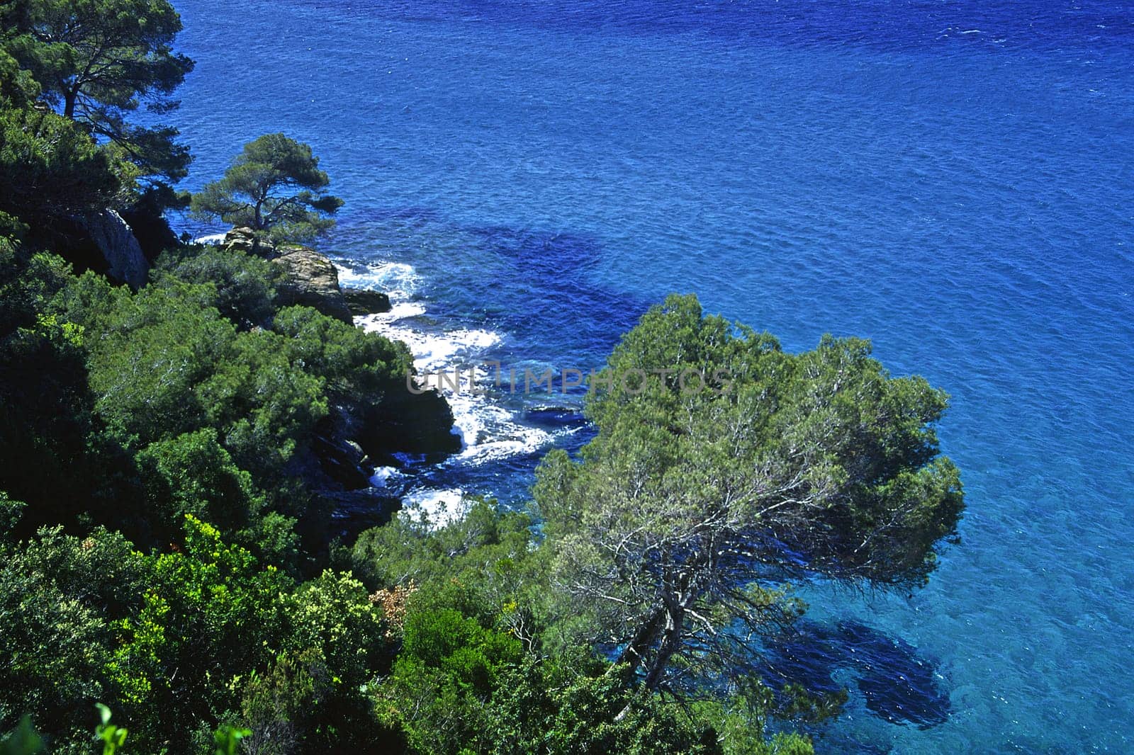 Landscape on the Mediterranean Sea