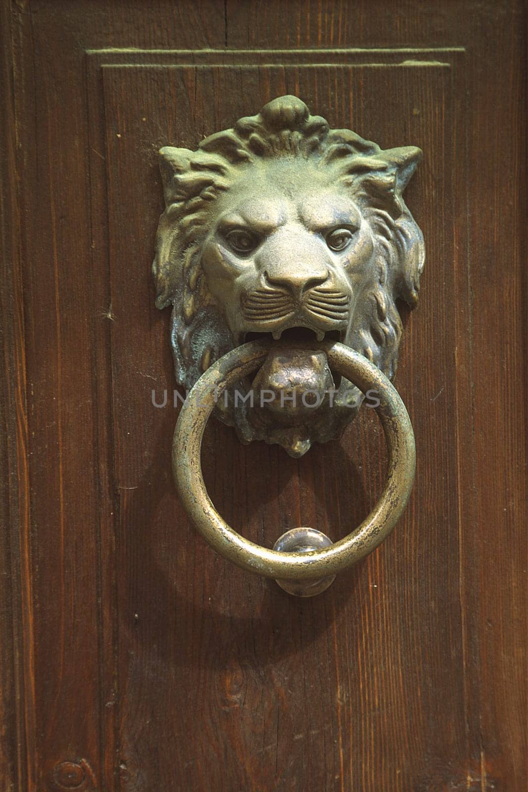 Menton,door knocker