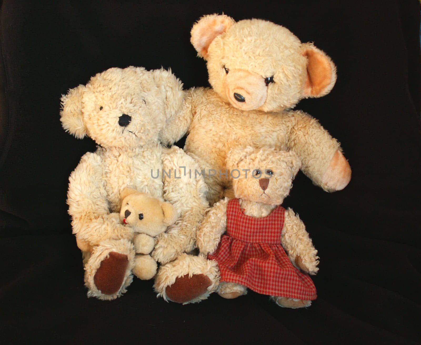 Bear family