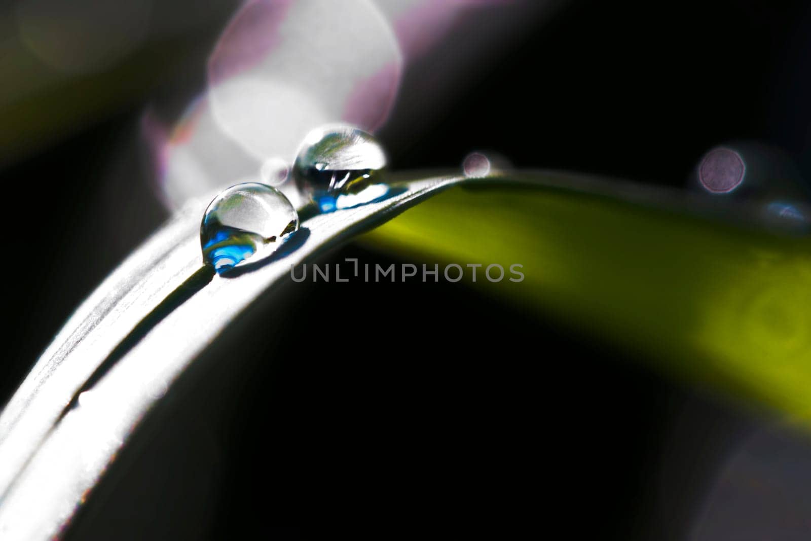 I know that 1000th drop image ... But I thought it was so beautiful,because of the strong contrasts and the blue reflection of the sky. Contrasts and colors were also not manipulated. Only the sensor stains have been removed.