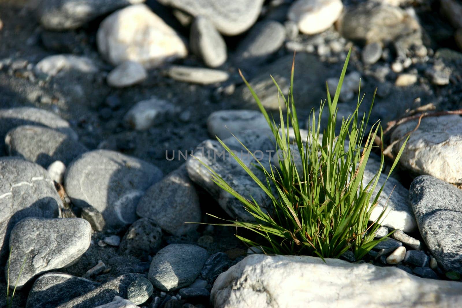 Nature needs no explanation             to understand its beauty,all it takes is an open look and a receptive mind.       (Karl Detlef)