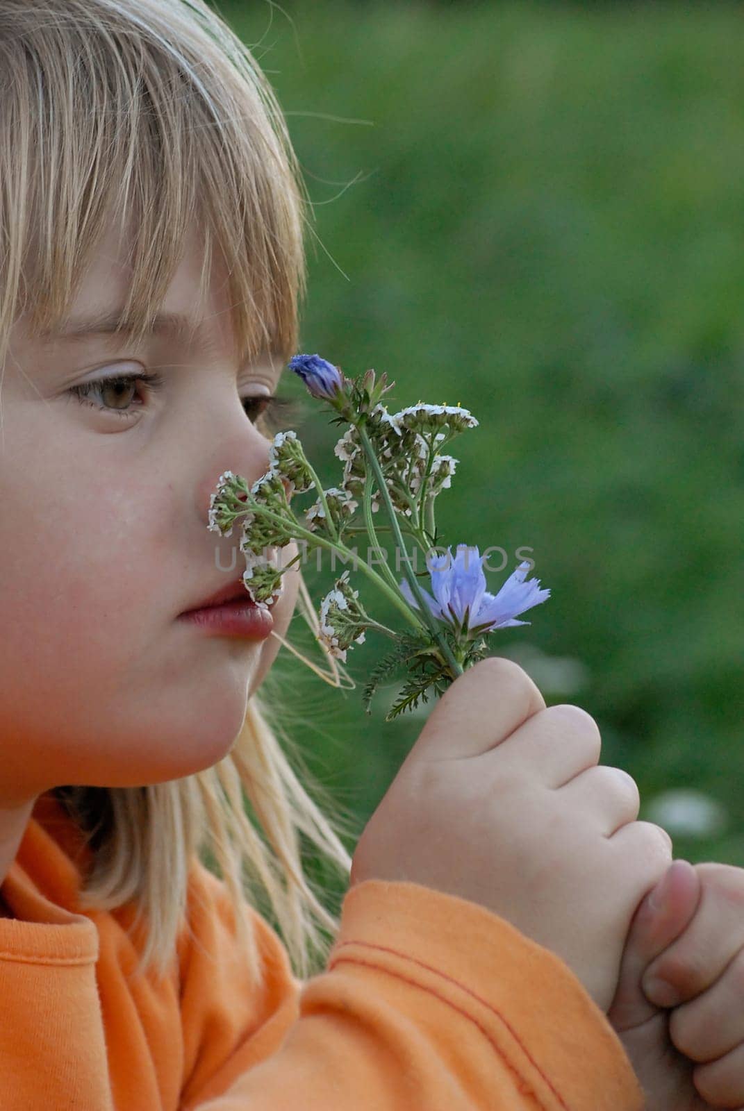 Picking flowers is one of little Kimi's favorite pastimes