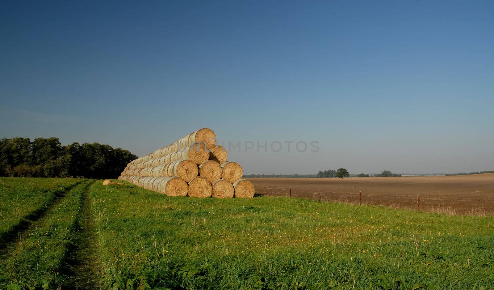 This photo is also from today! I would have liked to have had a cloud in the picture,but unfortunately there was nowhere to be found.....!