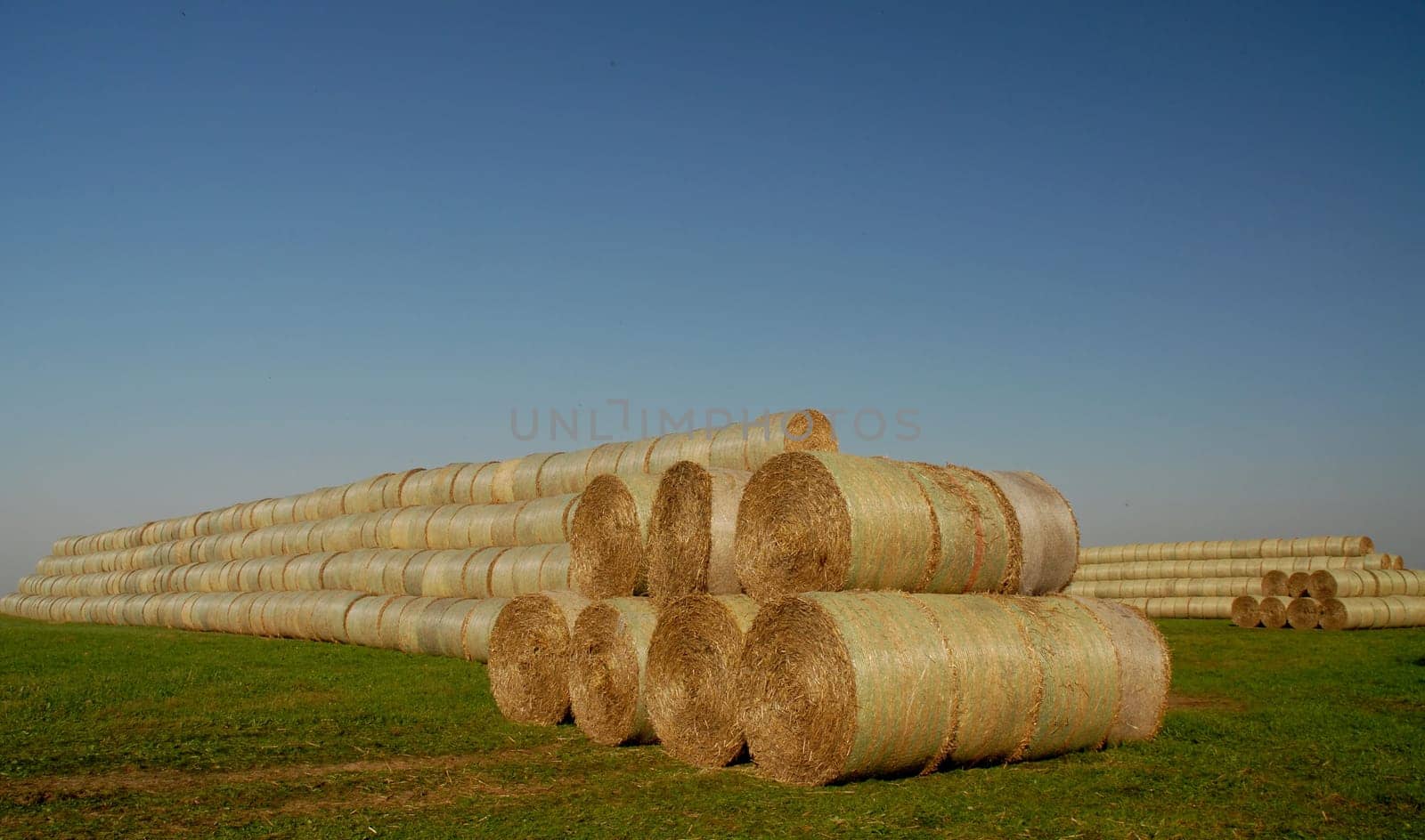 The masses of straw bales in our area are still presented in rows and rows.....!