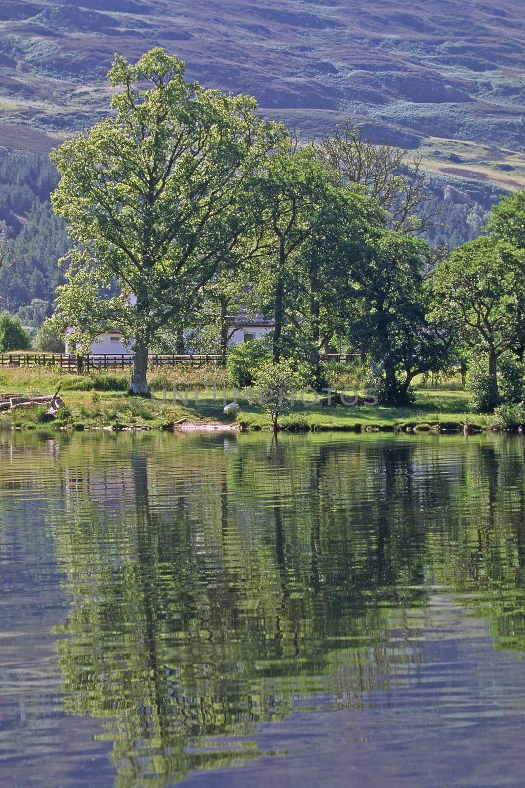 Loch Ness, Wasserspiegelung, Schottland