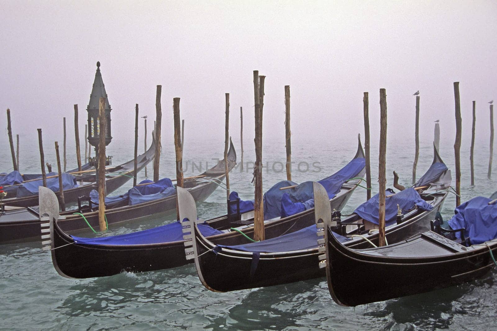 Venice,gondolas in the fog