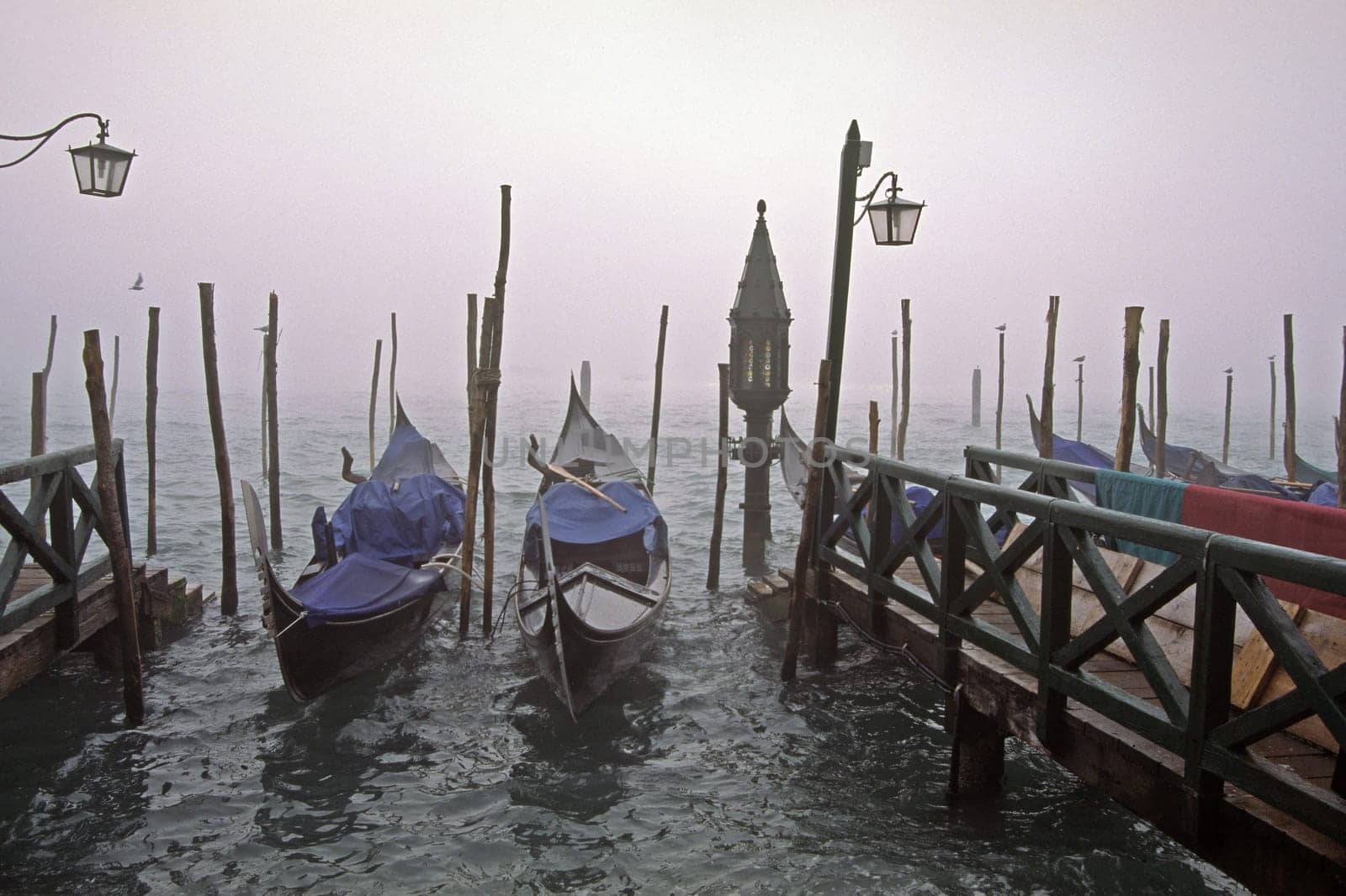Venice,gondolas in the fog