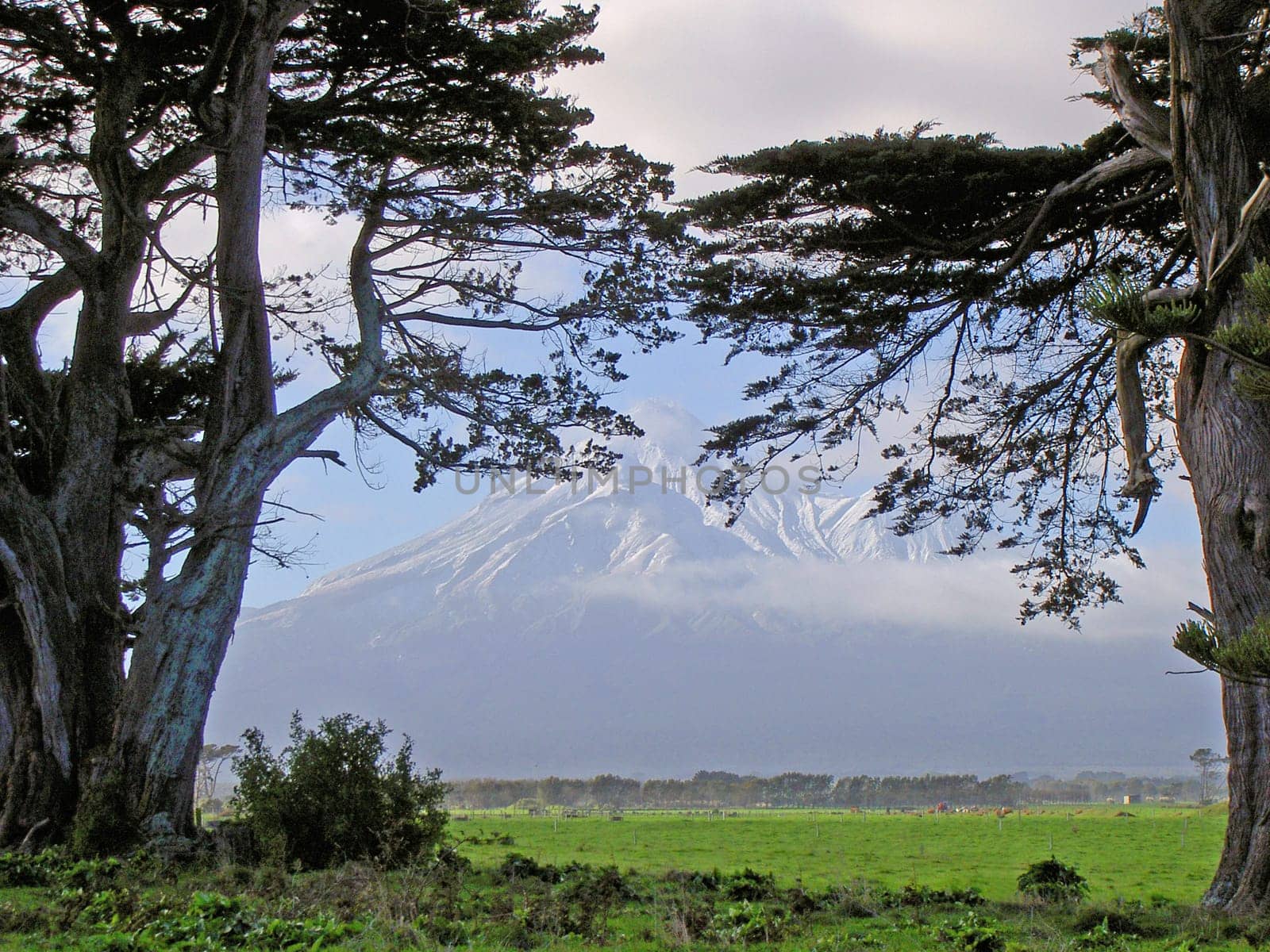 Mt. Egmont