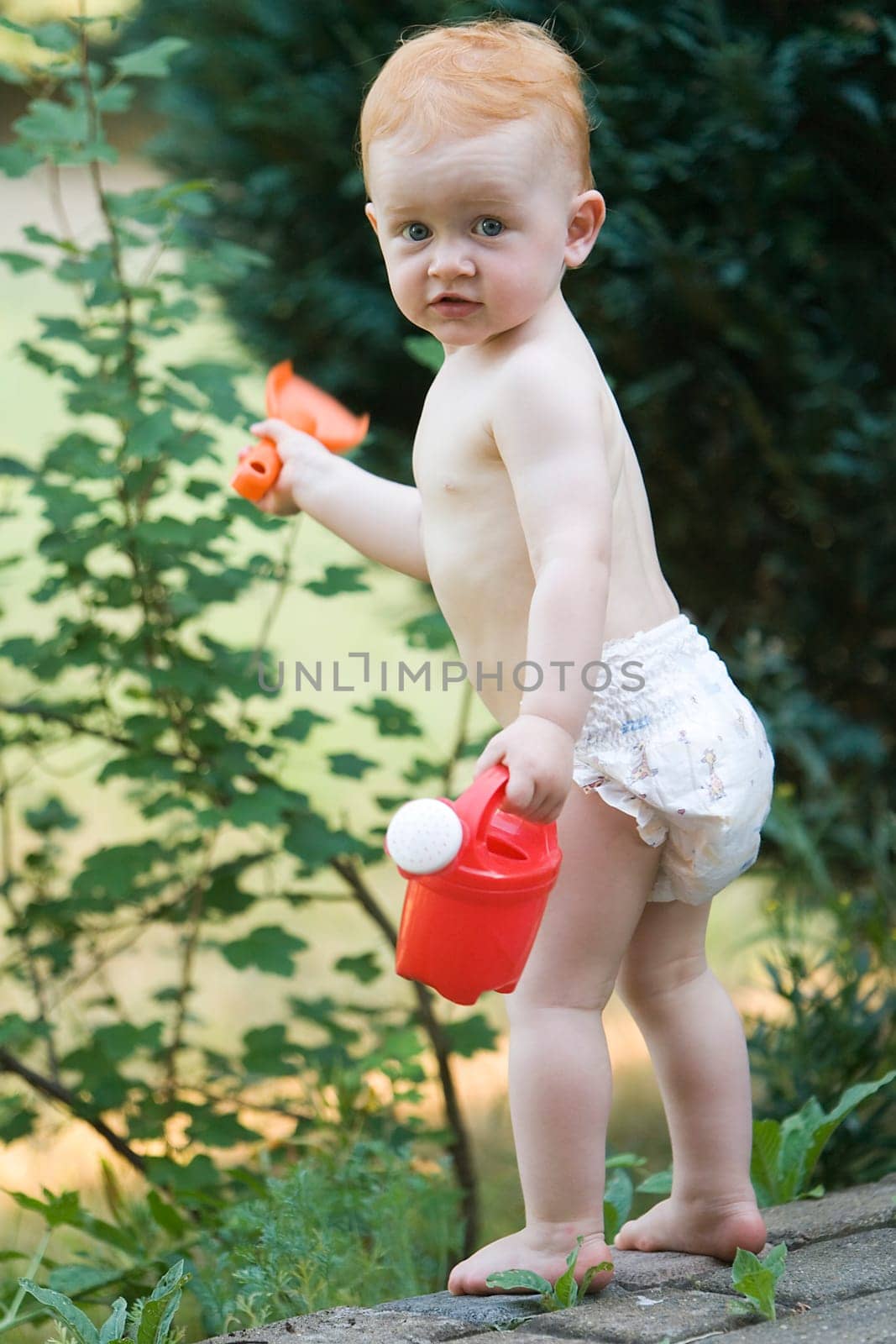 Gardener