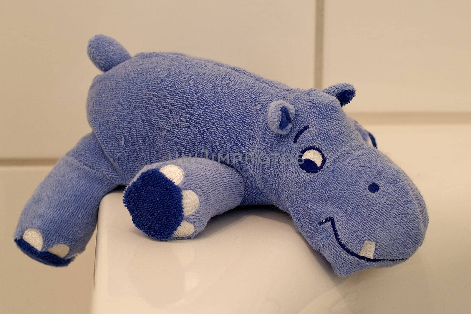 Hippopotamus