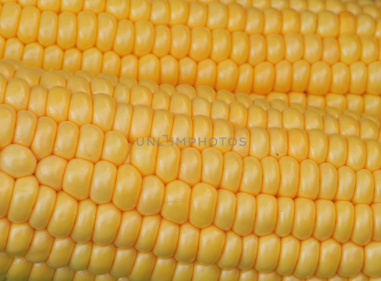 Corncob...