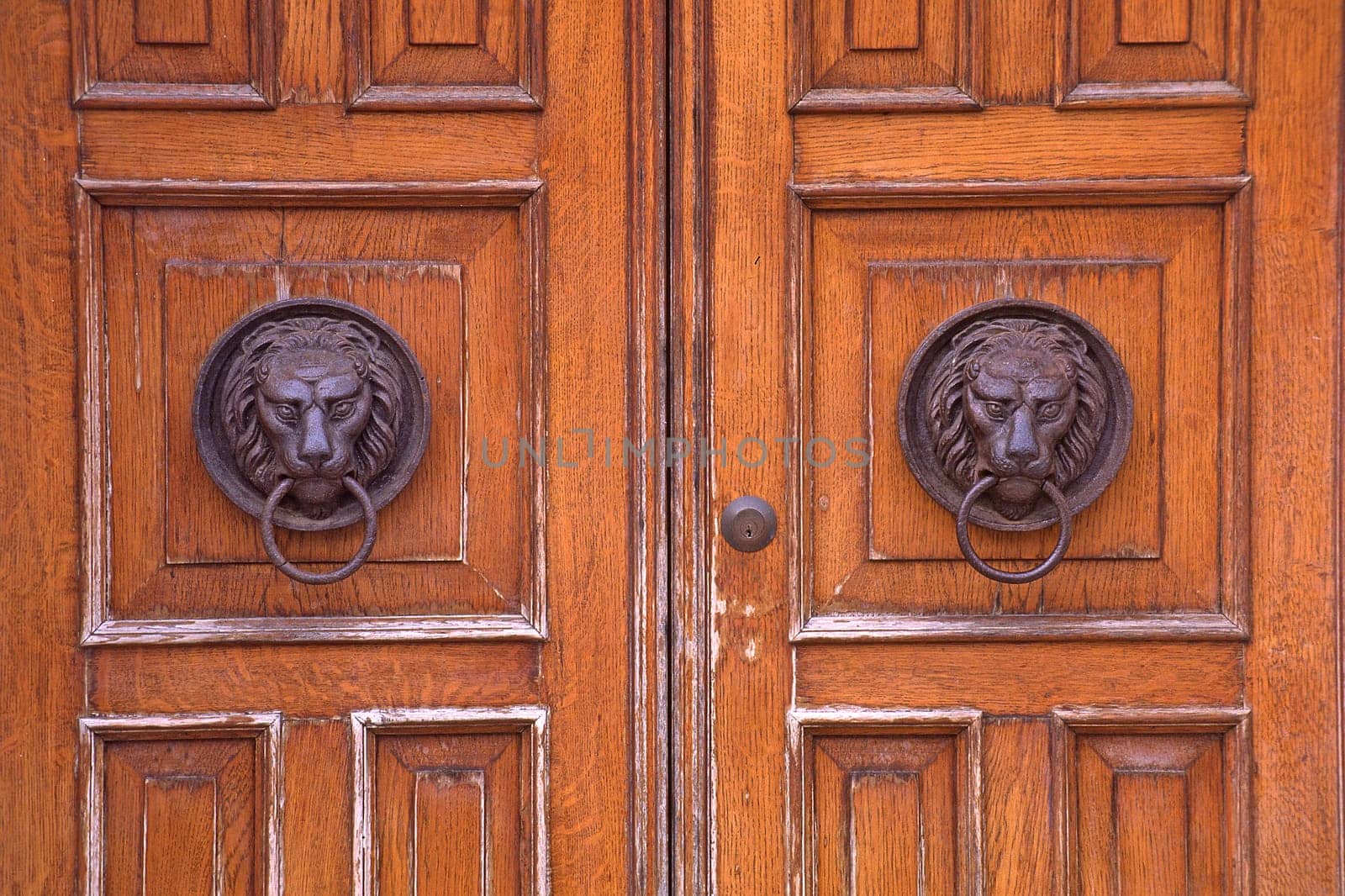 Venice,Door Detail,Door Knocker