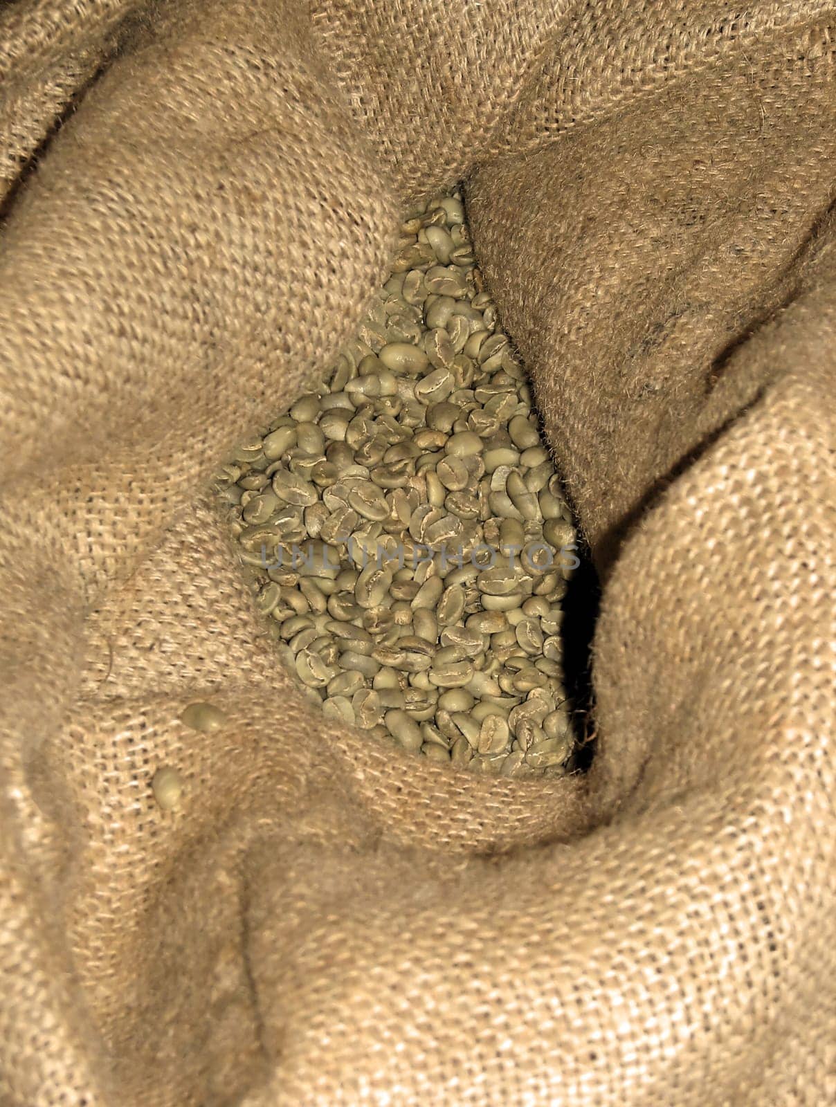 Green Coffee 2