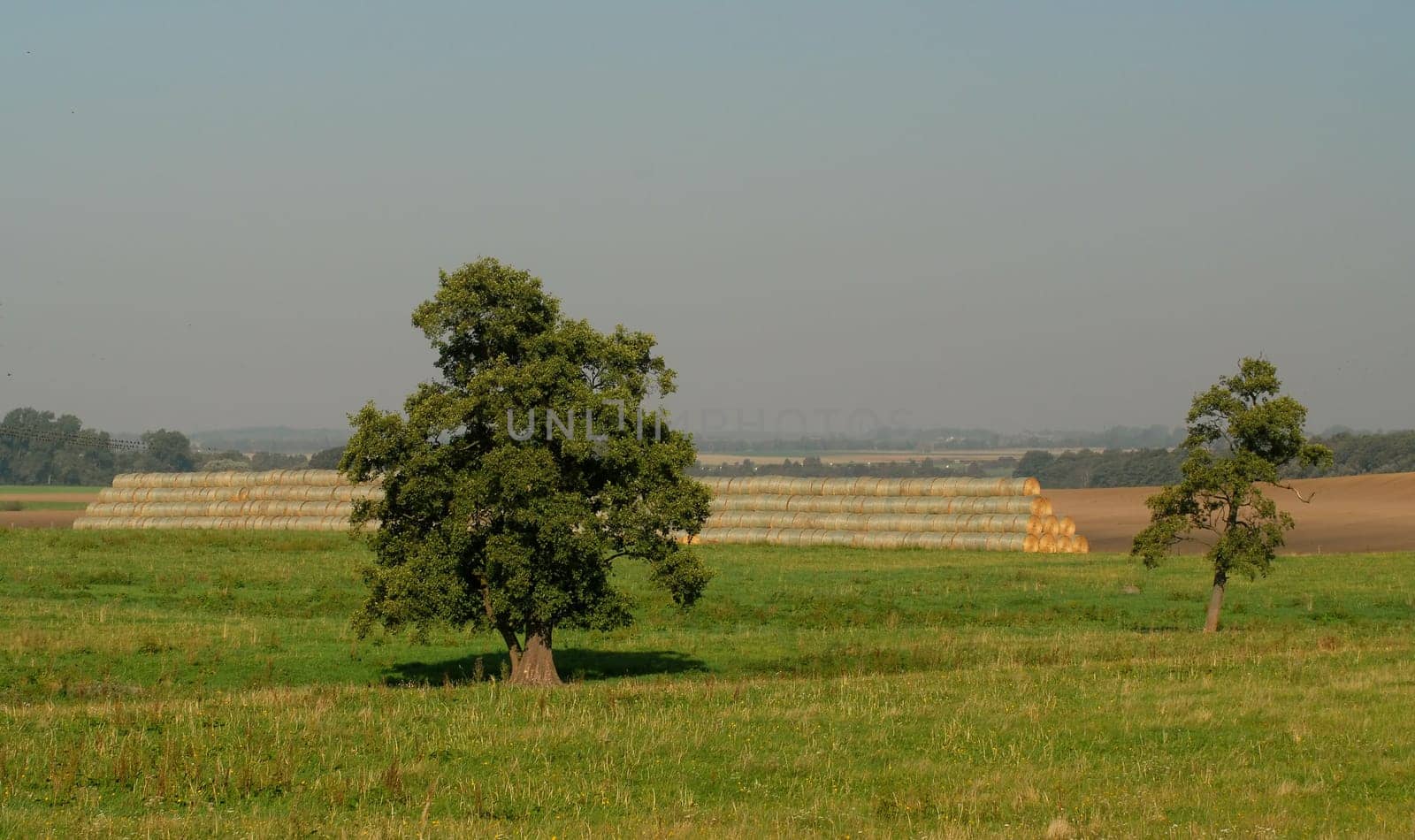 I was still looking for a motif where I could get a whole bunch of straw bales on the picture. But that wasn't so easy for us either. However,5 such straw rents were behind the forest!  It was a gigantic picture,but I don't have one