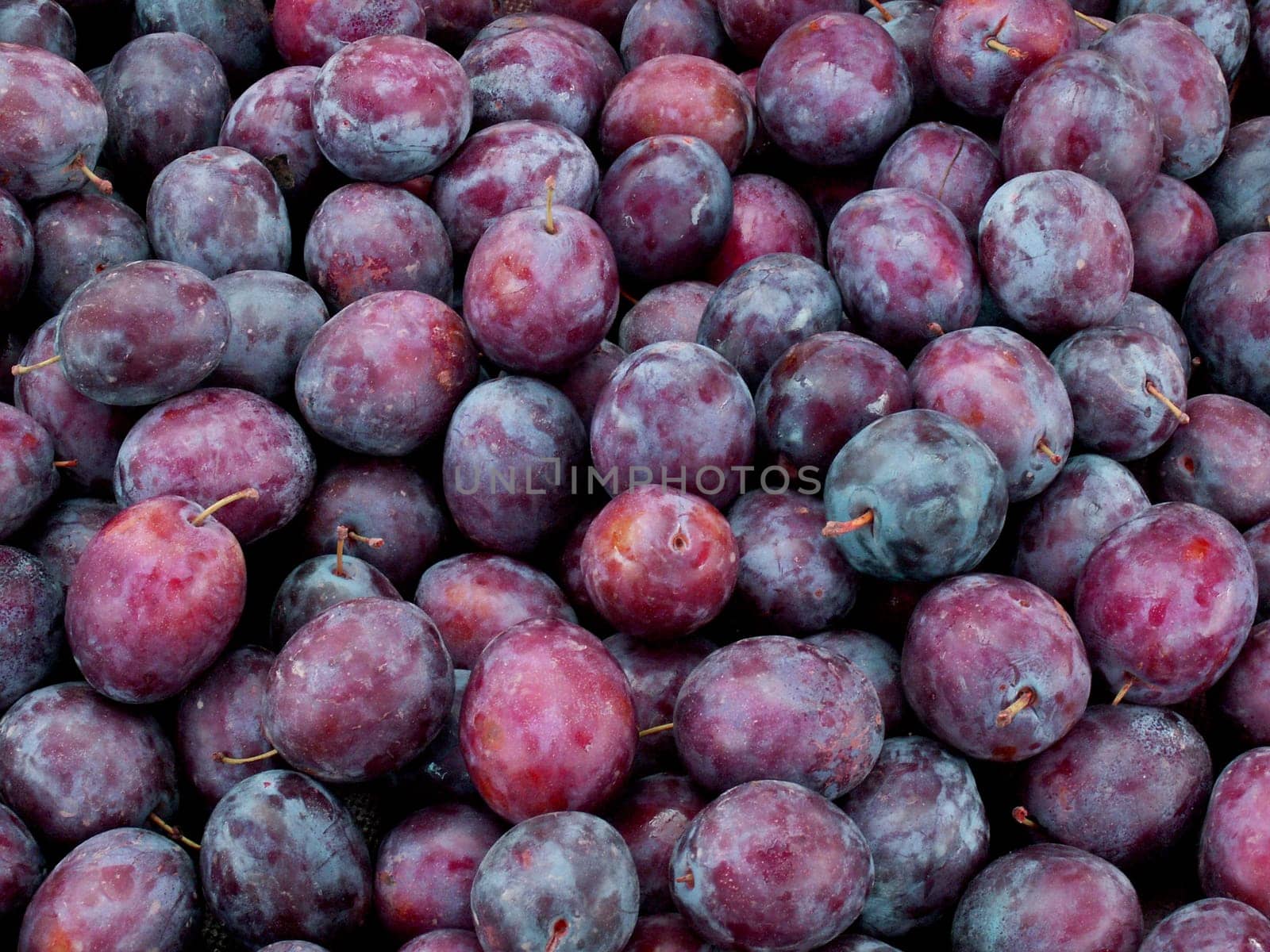 Plums