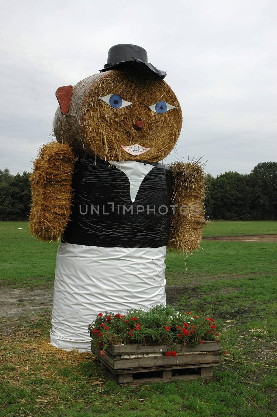 Harvest worker