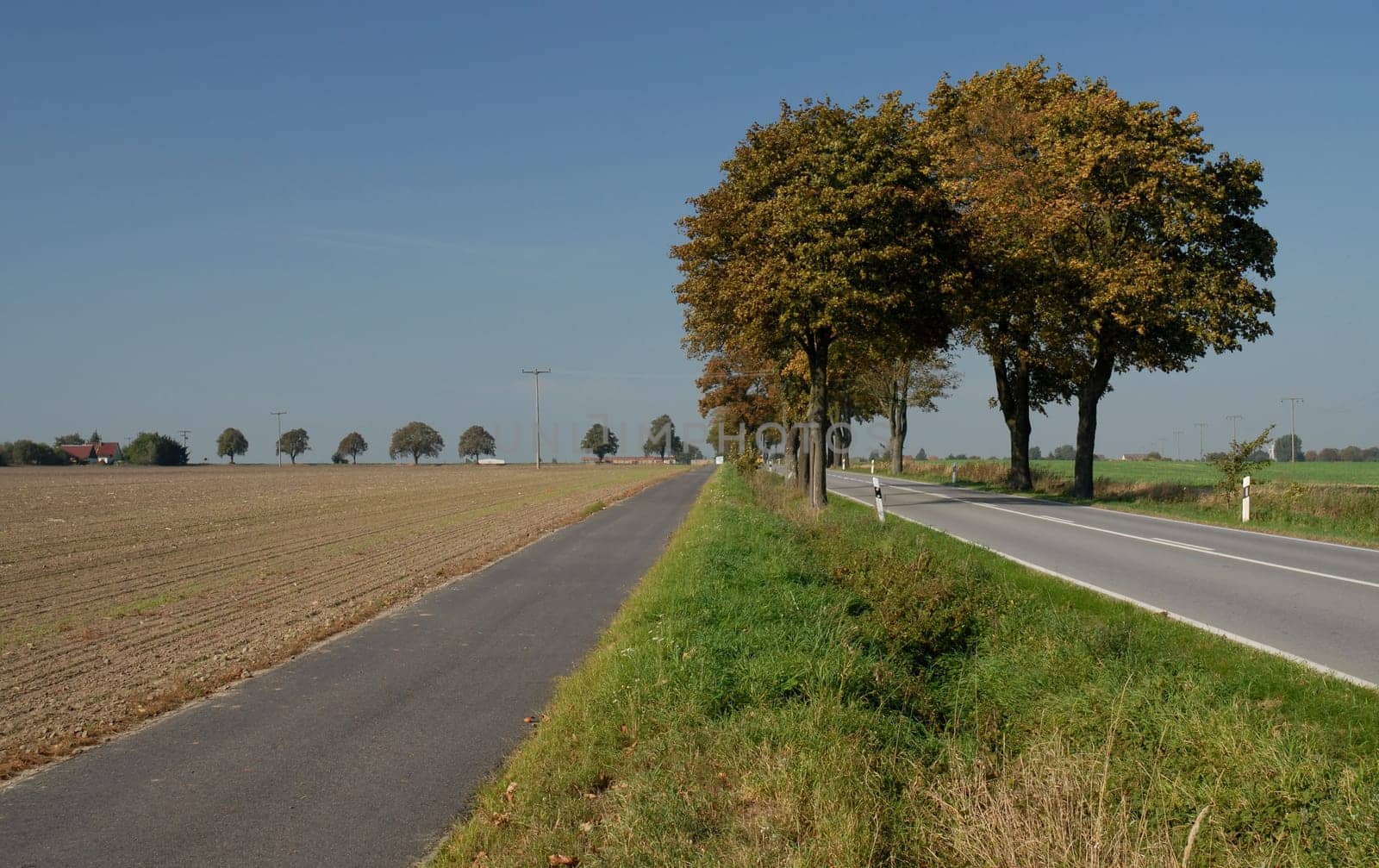 In our immediate vicinity there is a fairly well-developed network of paths for cyclists! I also enjoy our beautiful surroundings very often from my bike until winter! Even if the paths sometimes lead along the road,that doesn't really bother,because it's a