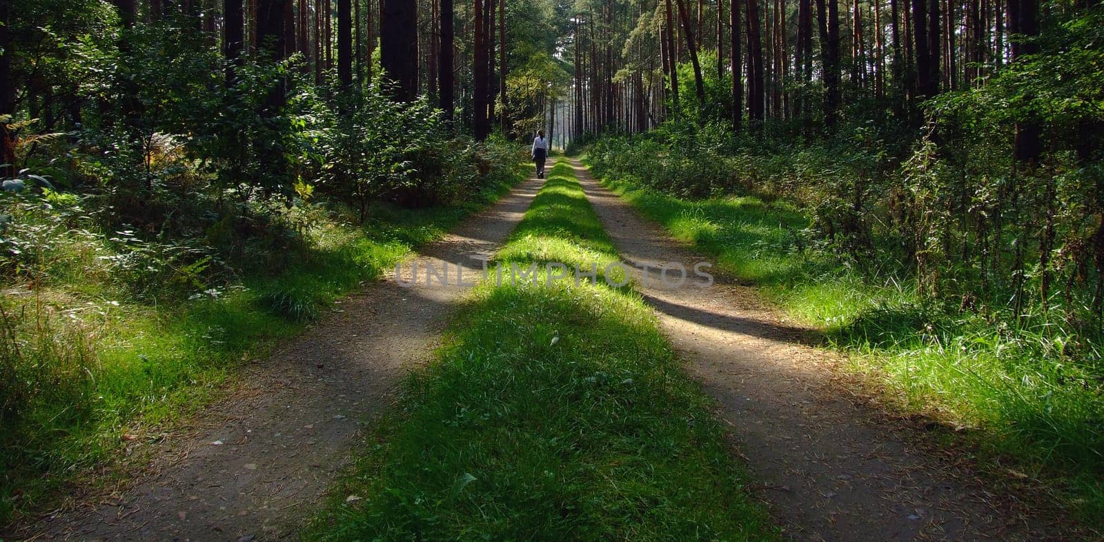 Walk