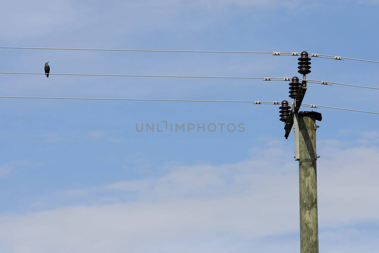 On the tightrope