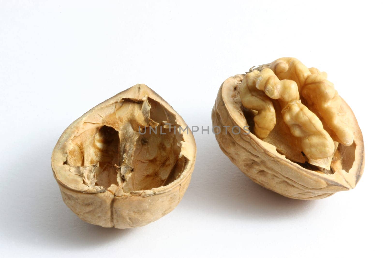Walnut