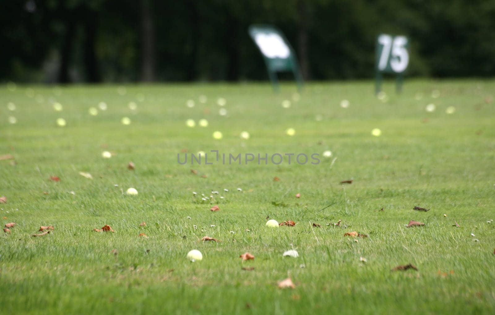Driving Range