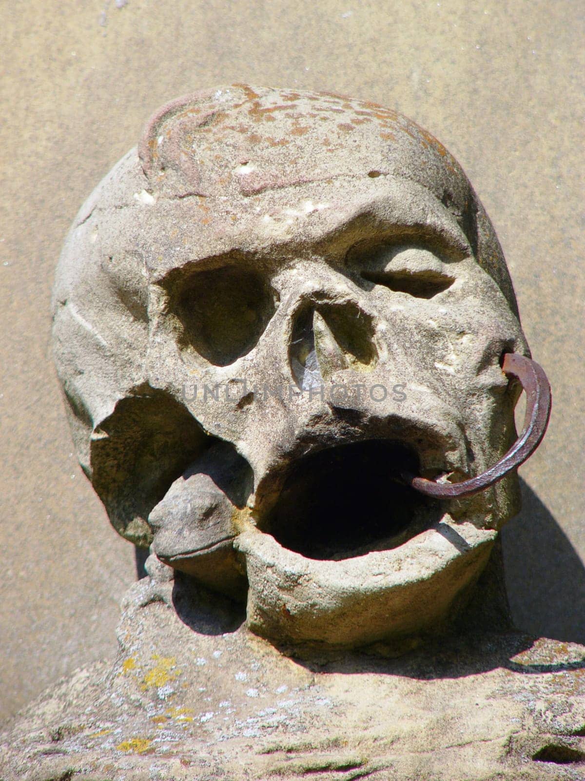 Skull made of stone