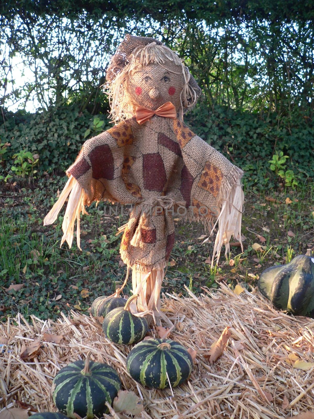 In a potato sack