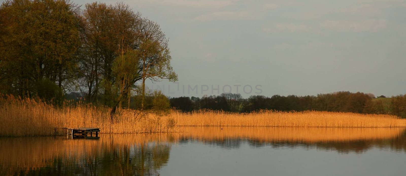 Golden Autumn