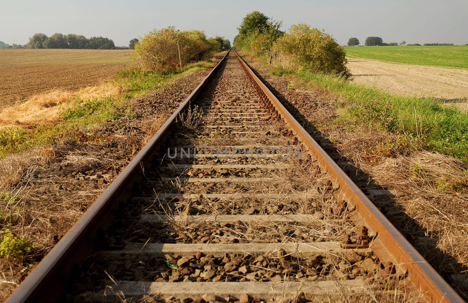 The long way