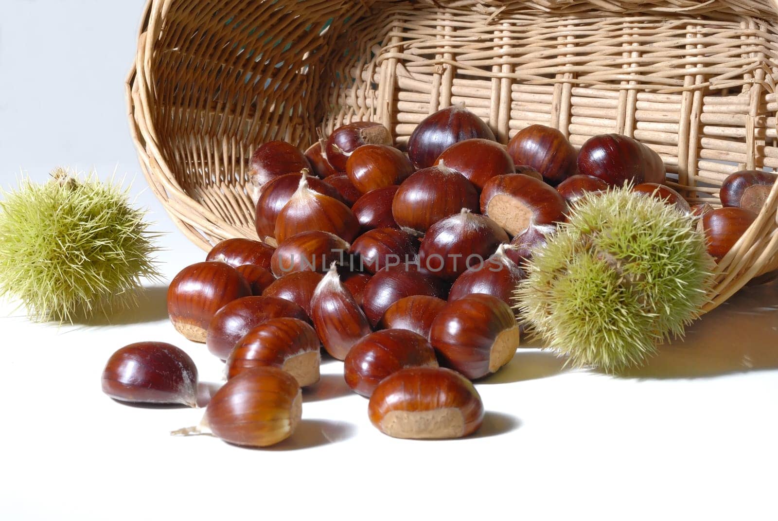Chestnuts 16