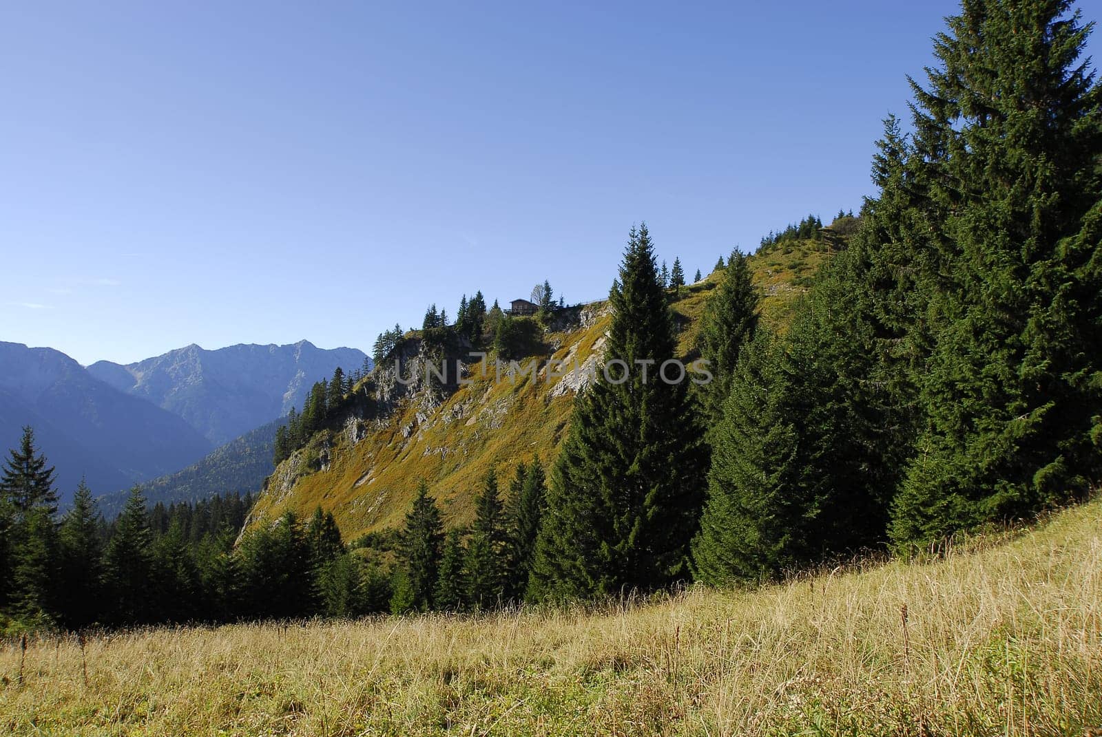 Mountain paradise