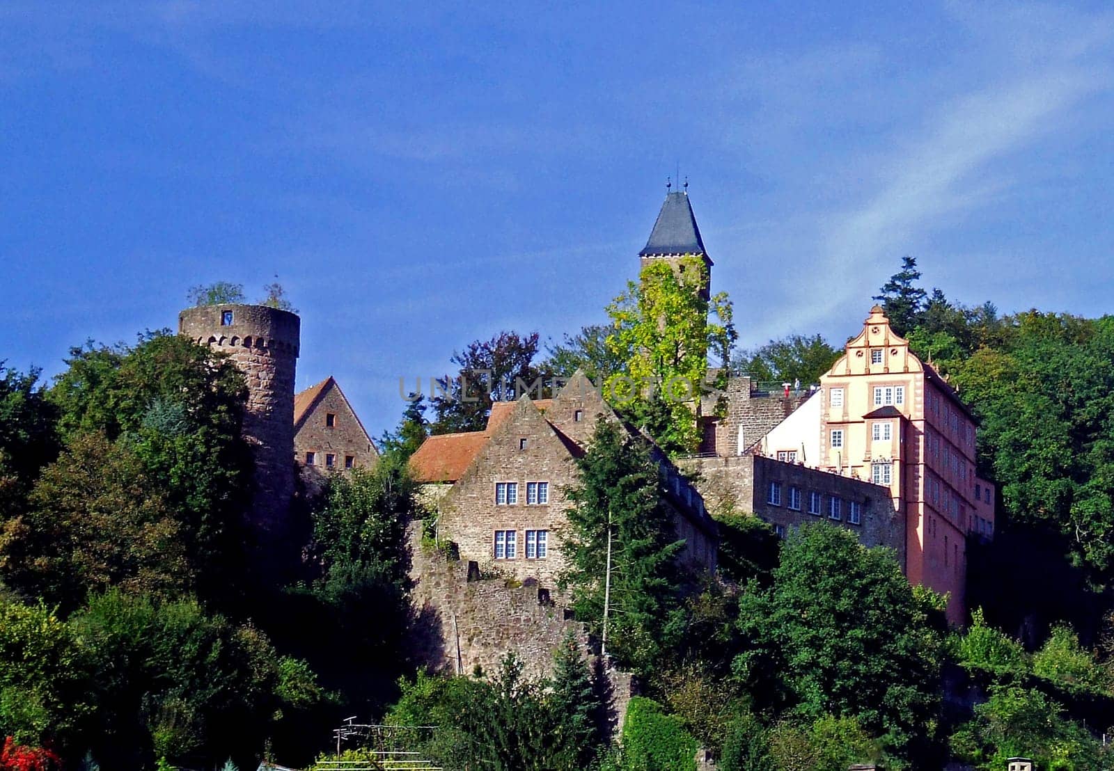 Hirschorn Castle