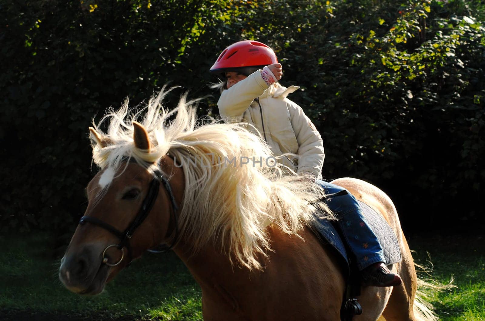 I'm still trying to capture movement well with the new camera! I couldn't choose the light in this case,because I wasn't allowed to go to the other side behind the horse! In any case,we all had a lot of fun....!