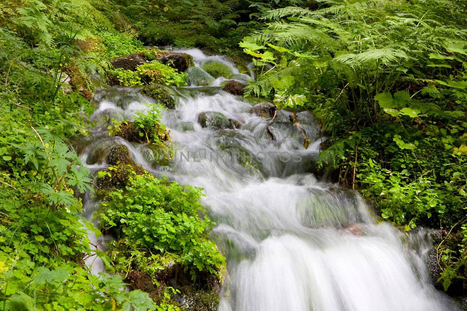 Stream