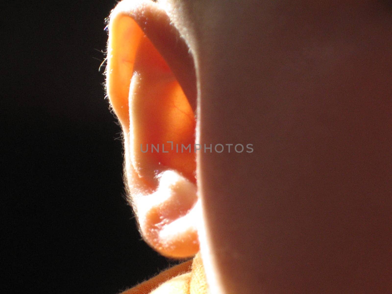 Ear