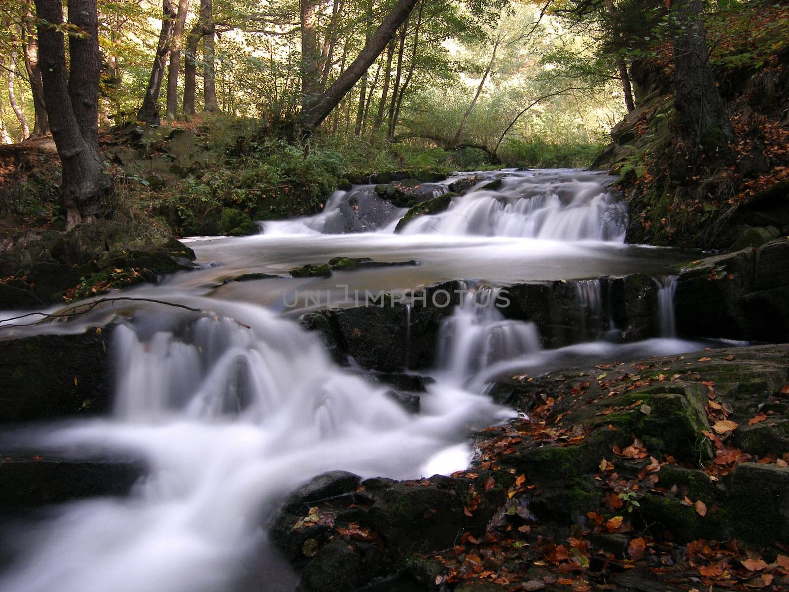 SELKEFALL