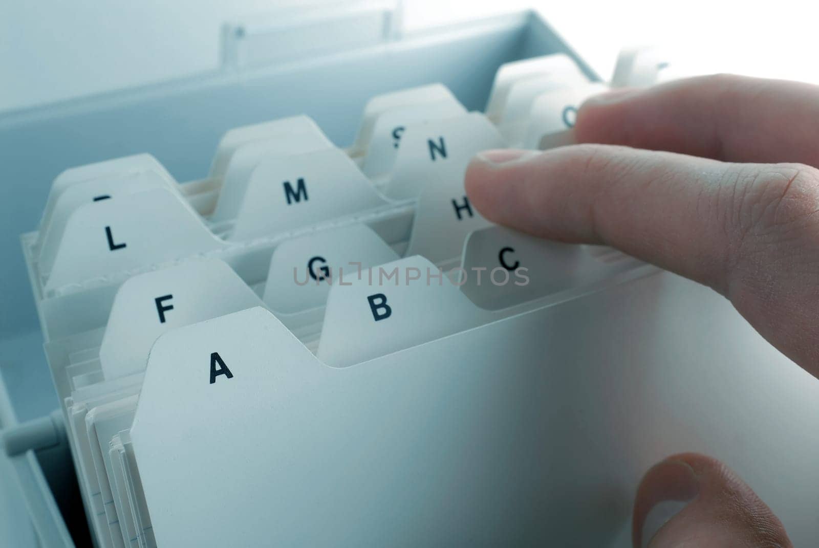 Browse the file