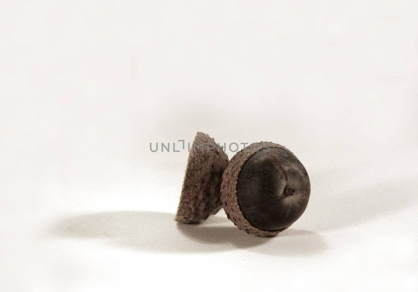 Acorn III