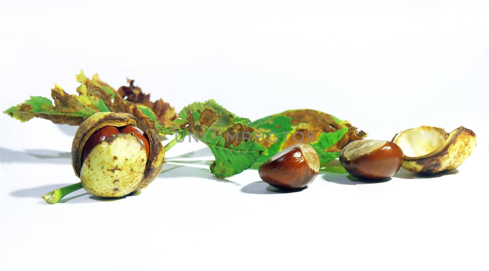 Chestnuts